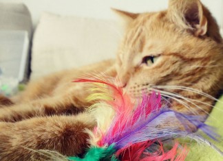 Lutowe wyzwanie fotograficzne – dzień pierwszy, drugi i trzeci